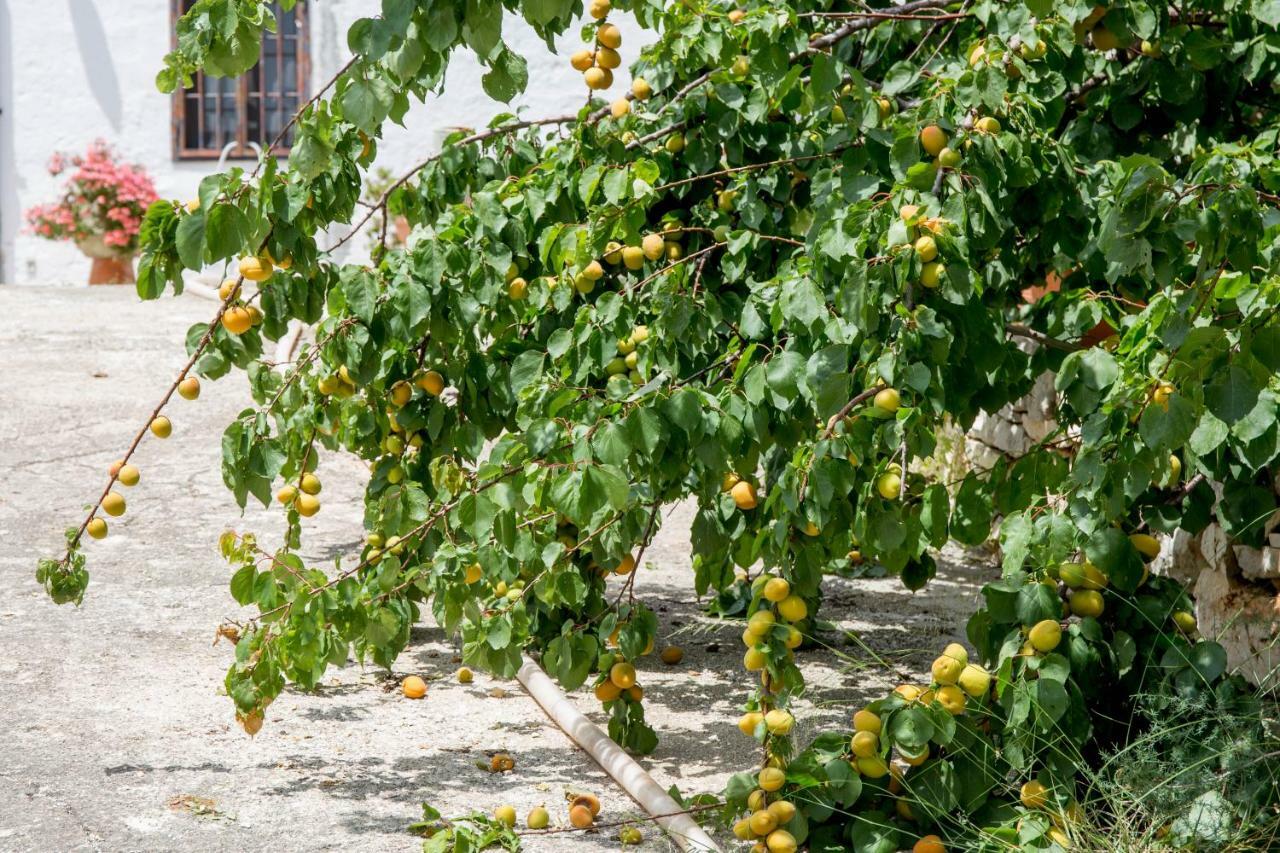 דירות מונופולי Profumo Di Terra מראה חיצוני תמונה